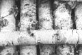 Black and white photo of birch logs