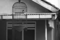 black and white photo of a bird cage made of iron Royalty Free Stock Photo