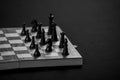 Black and white photo of a board for playing chess with pieces. Board game, fun Royalty Free Stock Photo
