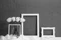 Black and white photo, a bouquet of white roses in a vase, picture frame on a gray background Royalty Free Stock Photo