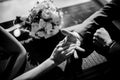 Black and white photo of bride and groom holding each others hands Royalty Free Stock Photo