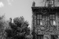 Black and white photo of a building with ivy vines climbing up its walls Royalty Free Stock Photo