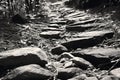 A black and white photo capturing a rocky path. Ideal for adding a touch of nature and simplicity to any project Royalty Free Stock Photo