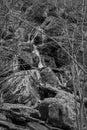 Black and White Photo of a Cascading Waterfall Royalty Free Stock Photo