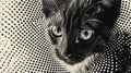 A black and white photo of a cat looking up at the camera, AI Royalty Free Stock Photo