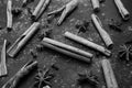 Black and white photo of cinnamon sticks and star anise lying on a dark background. Spices photography Royalty Free Stock Photo
