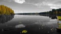 Black and white photo with the colored forest, a pier and water lilies. Big beautiful calm lake in the fall Royalty Free Stock Photo