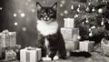 black and white photo A comical kitten , perched atop a pile of gifts