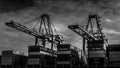 Black and White Photo of Container Port with the Large Container Cranes loading a Ocean Going Freighter in Vancouver Harbor