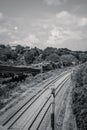 Black and white photo of curving railroad tracks disappearing into distance Royalty Free Stock Photo