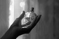 Black and white photo of delicate floral feminine eau de parfum scent fragrance in woman hand.