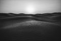 Black and white photo of a desert landscape