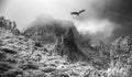 Black and white photo. eagle flies over the mountains and roads