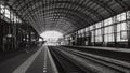 Black and white photo of the famous Haarlem train station with i