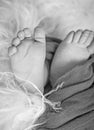 Black and white photo of the feet of a child in the arms of the mother. Macro shot. Mom and her baby. The concept of a family Royalty Free Stock Photo