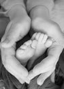 Black and white photo of the feet of a child in the arms of the mother. Macro shot. Mom and her baby. Concept of a happy family Royalty Free Stock Photo