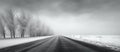 Black and white photo of a foggy snowy road with trees under a grey sky Royalty Free Stock Photo