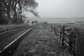 Black and white photo of foggy winding road in the countryside