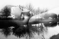 Black and white photo girl and reflection of nature