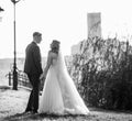 Black and white photo. happy newlyweds talking while walking in the Park Royalty Free Stock Photo