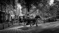 Black and White Photo of Horse and Carriage with tourists in the center of Amsterdam