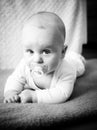 Black-and-white photo of infant baby during timmy time Royalty Free Stock Photo