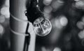 Black and white photo of light bulb close up. Blurred background with bokeh. Royalty Free Stock Photo