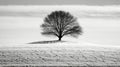 A Black And White Photo Of A Lone Tree On A Hill. Generative AI
