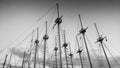 Black and white image of lots of high wooden masts of historical ships in sea port Royalty Free Stock Photo