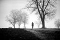 Black and white photo of a man gravel bike. Cyclist on the empty road and the trees in the mist