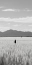 Black And White Photo: Man Walking Through Japanese-style Wheat Field