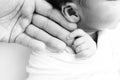 Black and white Photo of Newborn baby after birth tightly holding parents finger Royalty Free Stock Photo