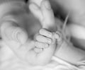 Newborn baby gently holding parent`s finger, black and white Royalty Free Stock Photo