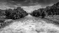 Black and White photo of the Okanagen River Channel Royalty Free Stock Photo