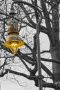 Black and white photo of an old Berlin street lamp on which the body of the lamp is colored Royalty Free Stock Photo