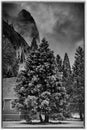 Black and white photo of an old chapel in the Yosemite National Park Royalty Free Stock Photo