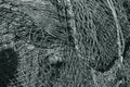 Black and white photo old fishing net tangled and piled