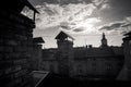 Black and white photo of old historical building rooftop silhouettes against fluffy clouds