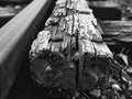 Black and white photo of an old railroad track. Shallow depth of field. Royalty Free Stock Photo