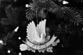 Black and white photo of an peace ornament hanging on a Christmas tree Royalty Free Stock Photo