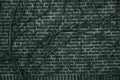 Black and white photo, perennial ivy encircled an old brick wall