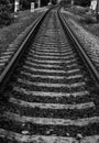 Black and white photo of railroad tracks Royalty Free Stock Photo