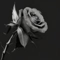 a black and white photo of a rose with leaves on it\'s stem and a stem with a single flower