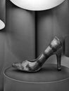 Black and white photo of snake skin stiletto on display