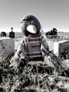 Black and white photo of a toy crow `scarecrow` overlooking an historical cemetery in Austin, Nevada