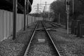 Black and white photo of tram tracks near Sheffield in England - stock photo.jpg Royalty Free Stock Photo