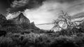 Black and White Photo of The Watchman mountain viewed from the Pa`rus Trail in Zion National Park Royalty Free Stock Photo