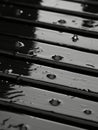 black and white photo of water droplets on a wooden bench Royalty Free Stock Photo