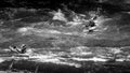 Black and White Photo of White Water Kayaking in the Rapids of the Thompson River Royalty Free Stock Photo