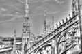 Black and white photo of the white marble statues, spires and stone sculptures on the roof of famous Cathedral Duomo Royalty Free Stock Photo